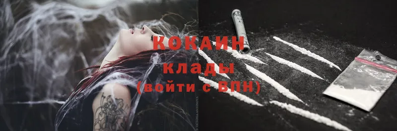 Cocaine FishScale  hydra как зайти  Пенза 